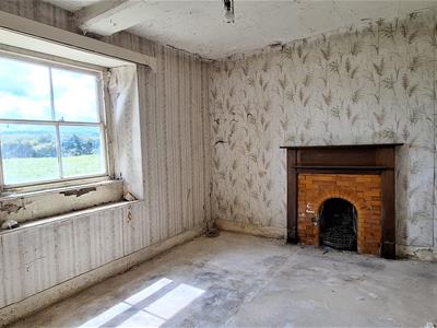 Picture 7